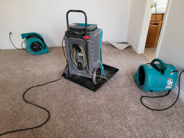 Best Local water damage restoration  in De Soto, IA
