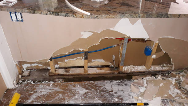 Best Mold removal after water damage  in De Soto, IA