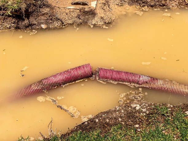 Best Water damage cleanup near me  in De Soto, IA
