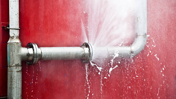 Best Professional water damage repair  in De Soto, IA