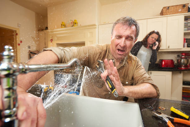 Best Professional water damage repair  in De Soto, IA